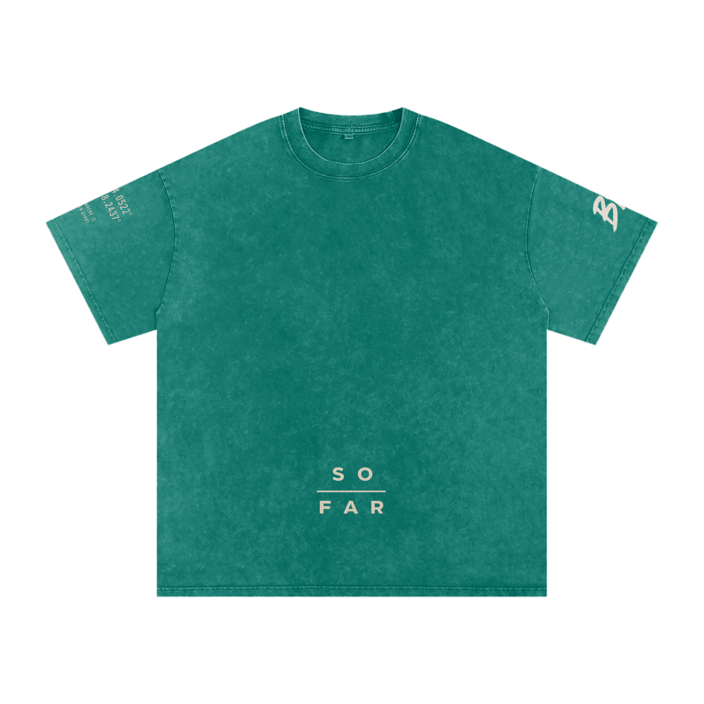 Snow Washed Oversized Cotton T-Shirt